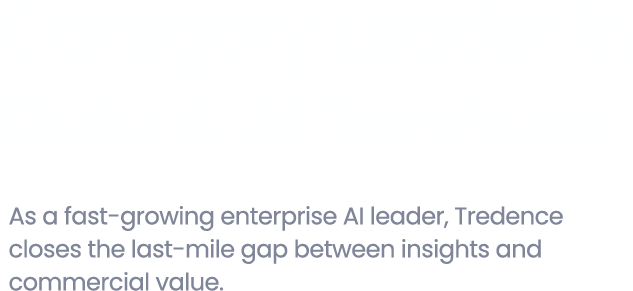 Categorical Leaders in Data & AI Services
