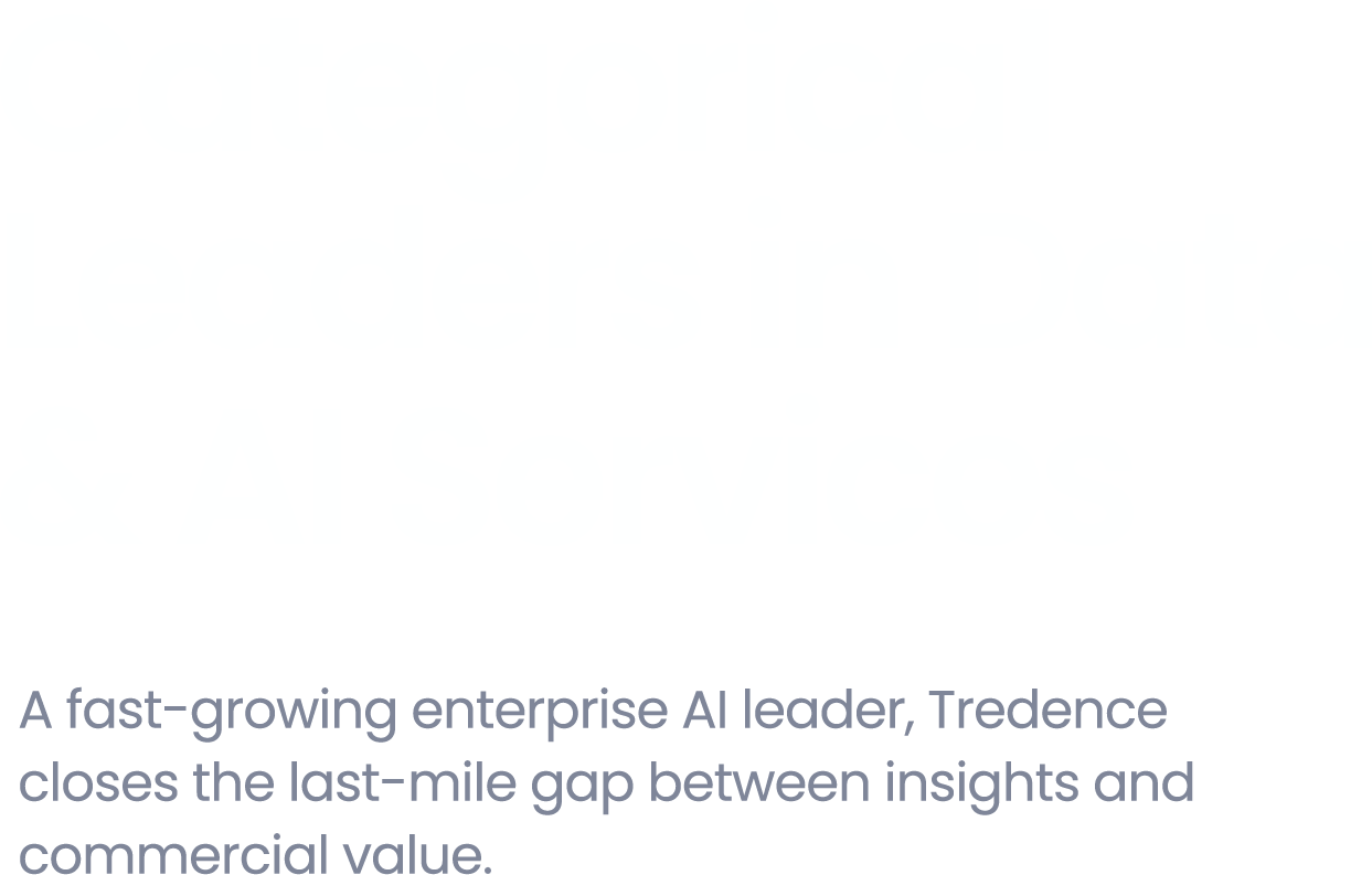 Categorical Leaders in Data & AI Services